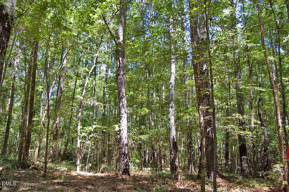 2 Nc Highway 33 Tarboro, NC 27886