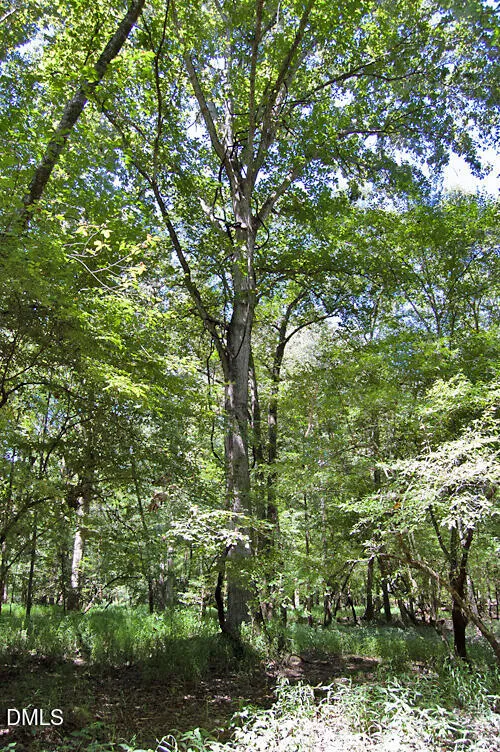 2 Nc Highway 33 Tarboro, NC 27886