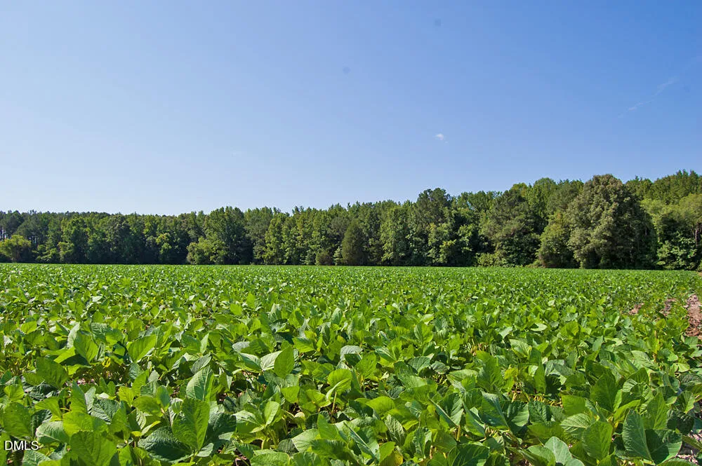 2 Nc Highway 33 Tarboro, NC 27886