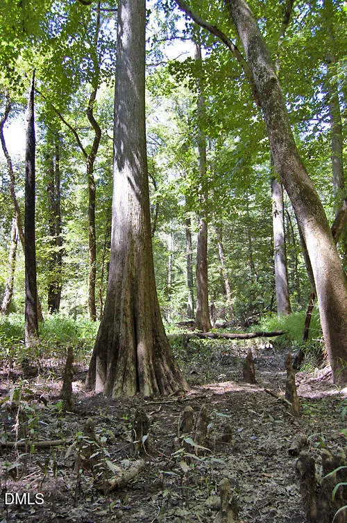 2 Nc Highway 33 Tarboro, NC 27886