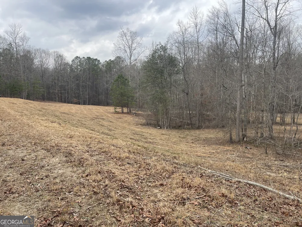 0 Whiteside RD Chattahoochee Hills, GA 30268