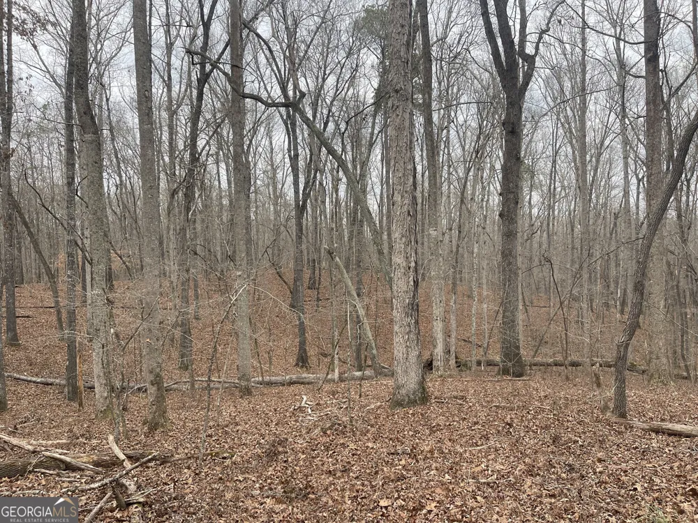 0 Whiteside RD Chattahoochee Hills, GA 30268