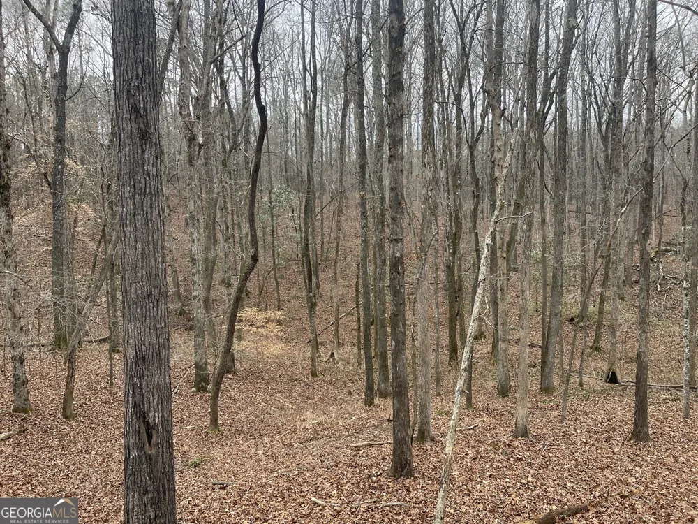 0 Whiteside RD Chattahoochee Hills, GA 30268
