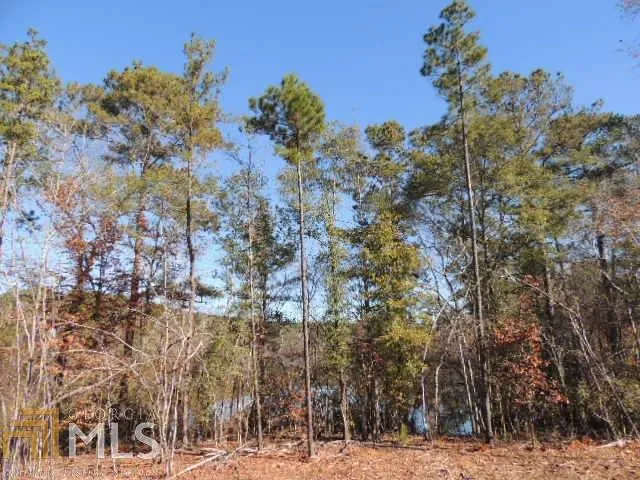 0 Mountain DR Hamilton, GA 31811