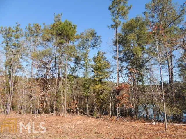 0 Mountain DR Hamilton, GA 31811