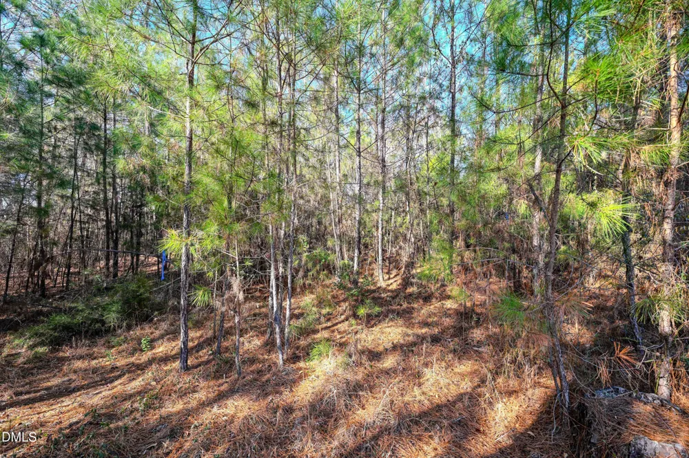 70 Garland Drive Cameron, NC 28326