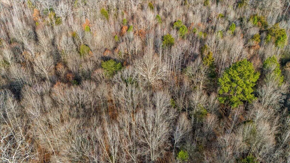 0 Lee Emerson Bear Creek, NC 27207