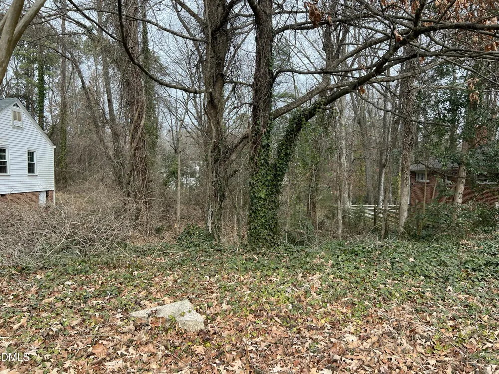 611 E Lavender Avenue Durham, NC 27704