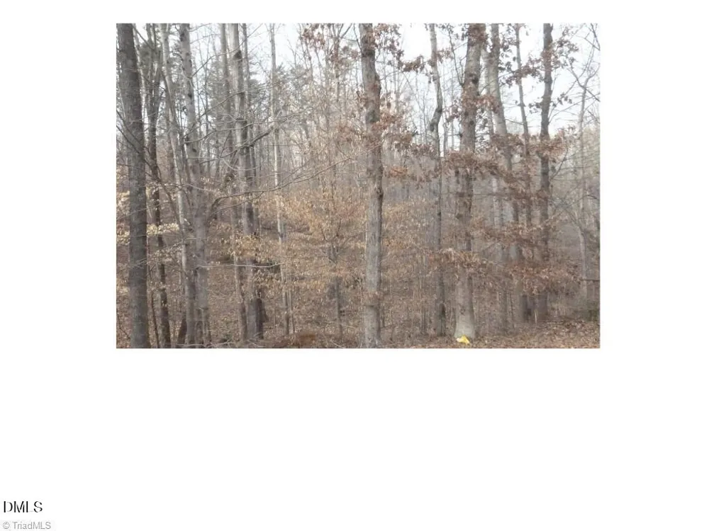 00 Mountain View Pelham, NC 27311