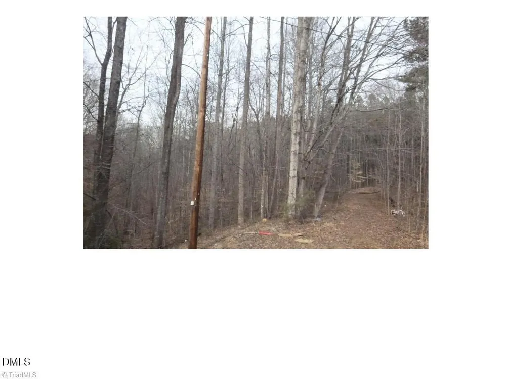 00 Mountain View Pelham, NC 27311