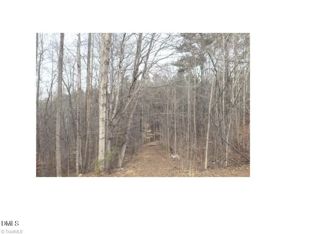 00 Mountain View Pelham, NC 27311