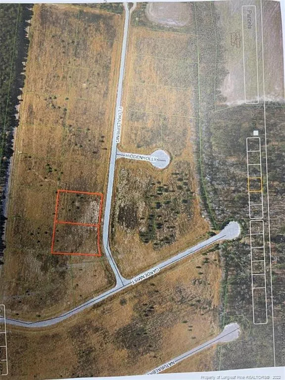 DAYLILY DRIVE Lumberton, NC 28360