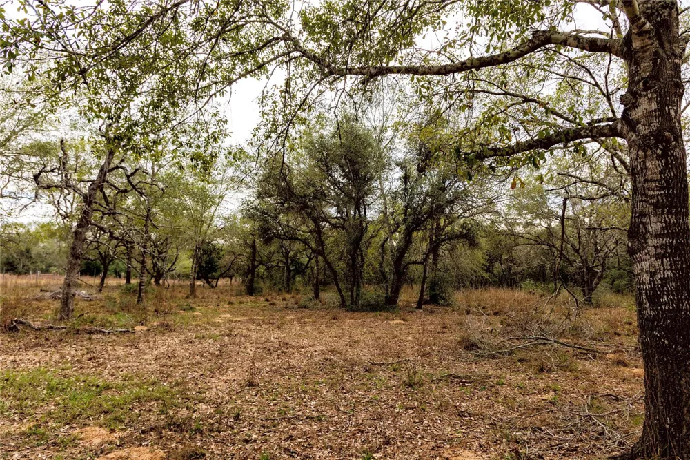 County Road 123 Hallettsville, TX 77964