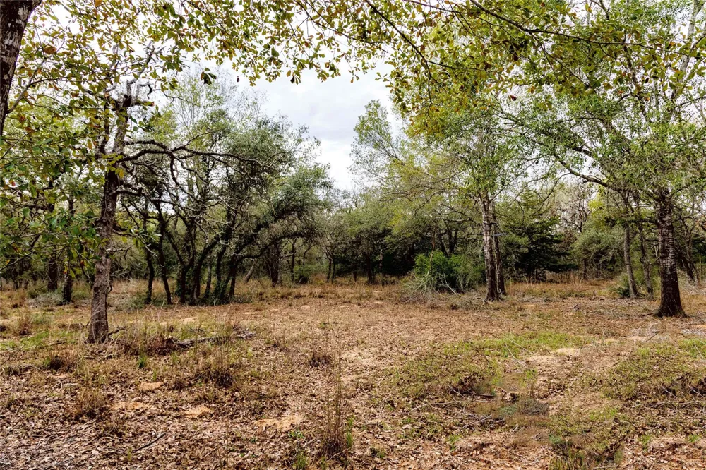 County Road 123 Hallettsville, TX 77964