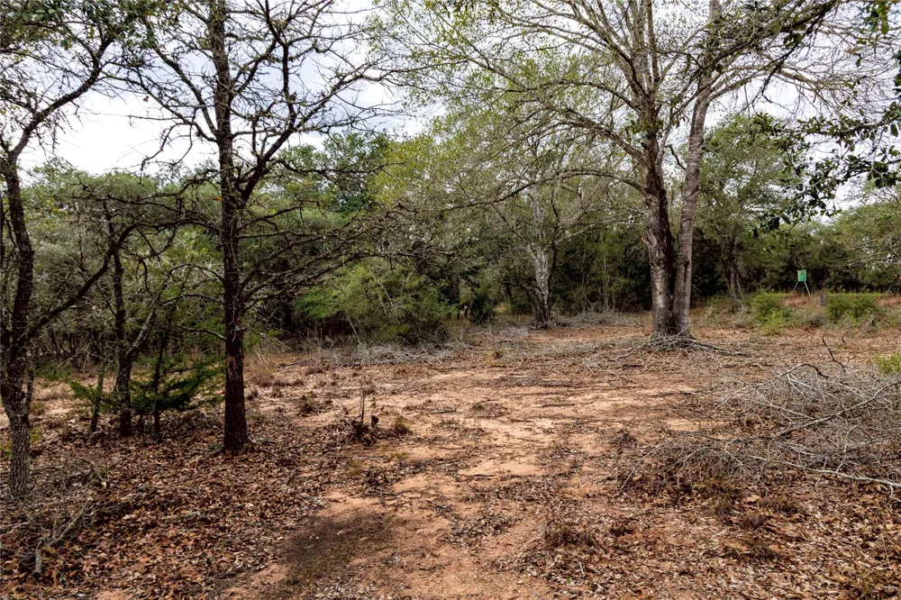 County Road 123 Hallettsville, TX 77964