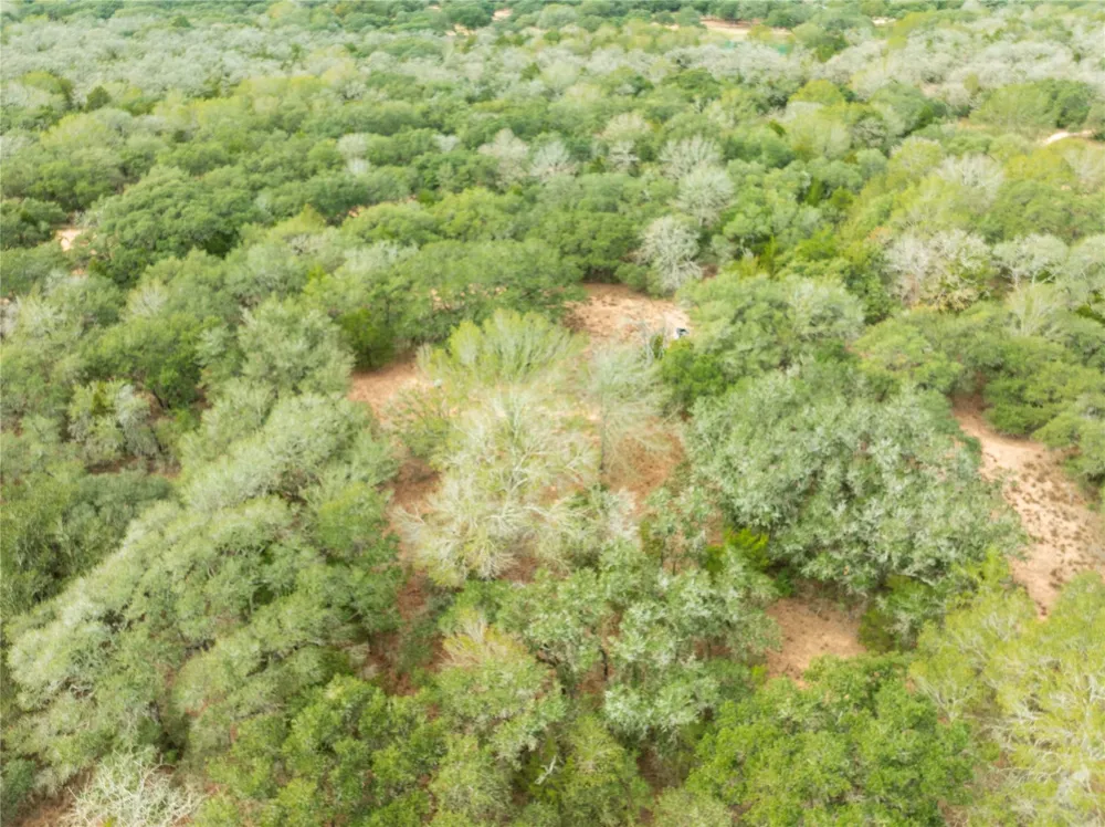 County Road 123 Hallettsville, TX 77964