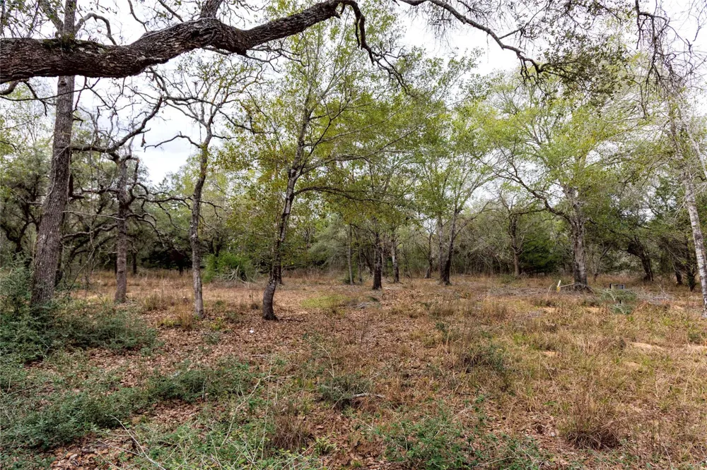 County Road 123 Hallettsville, TX 77964