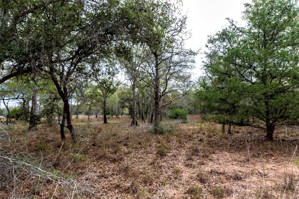 County Road 123 Hallettsville, TX 77964