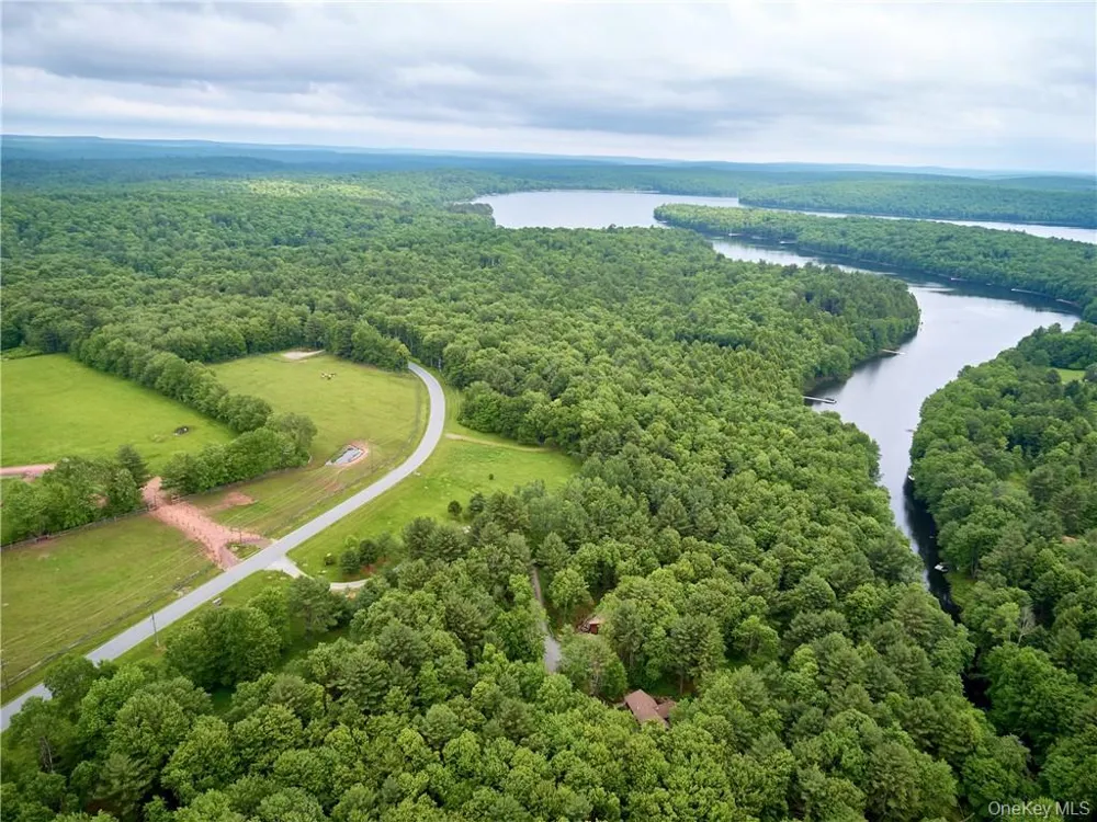 Lot 4 Chapin Trail Bethel, NY 12720