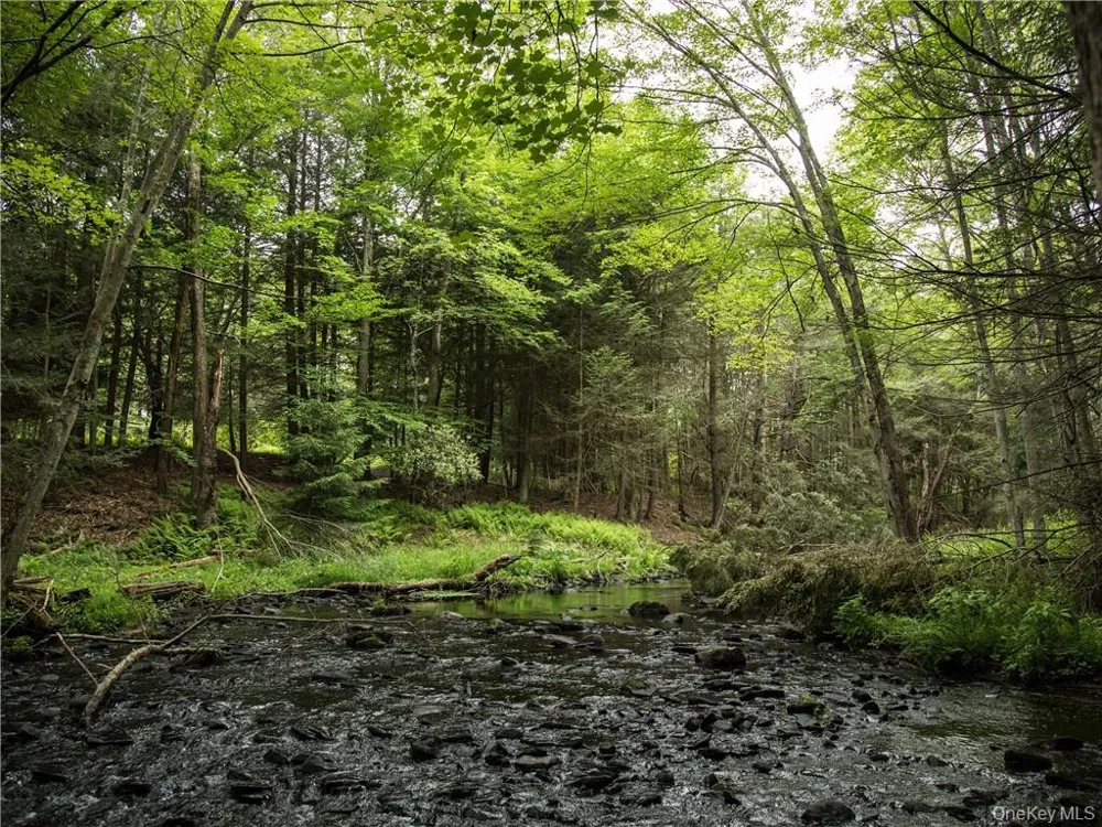 Lot 4 Chapin Trail Bethel, NY 12720
