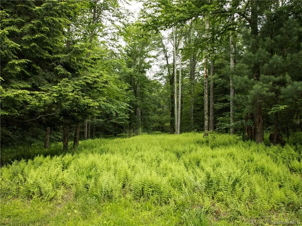 Lot 4 Chapin Trail Bethel, NY 12720
