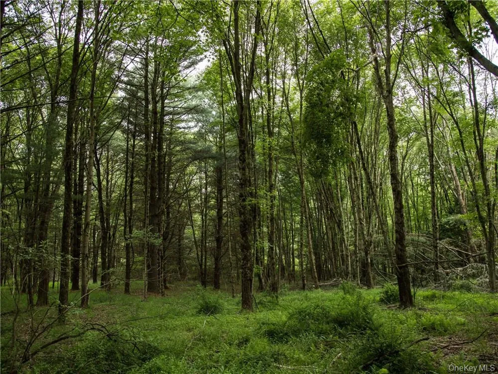 Lot 4 Chapin Trail Bethel, NY 12720