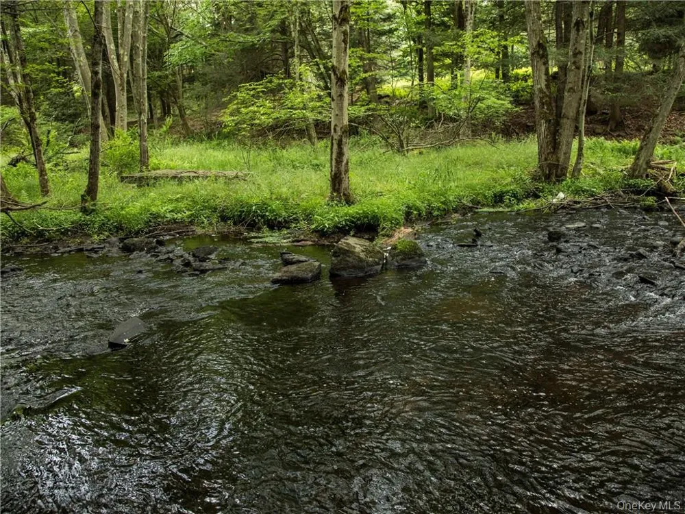 Lot 4 Chapin Trail Bethel, NY 12720