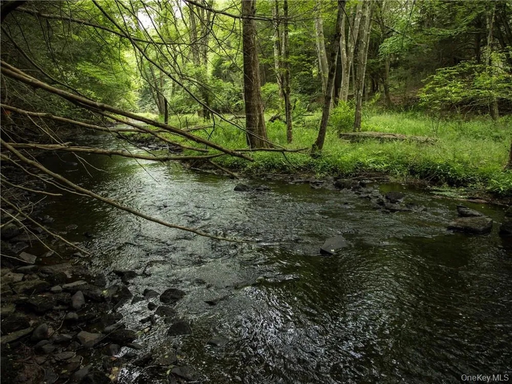 Lot 4 Chapin Trail Bethel, NY 12720