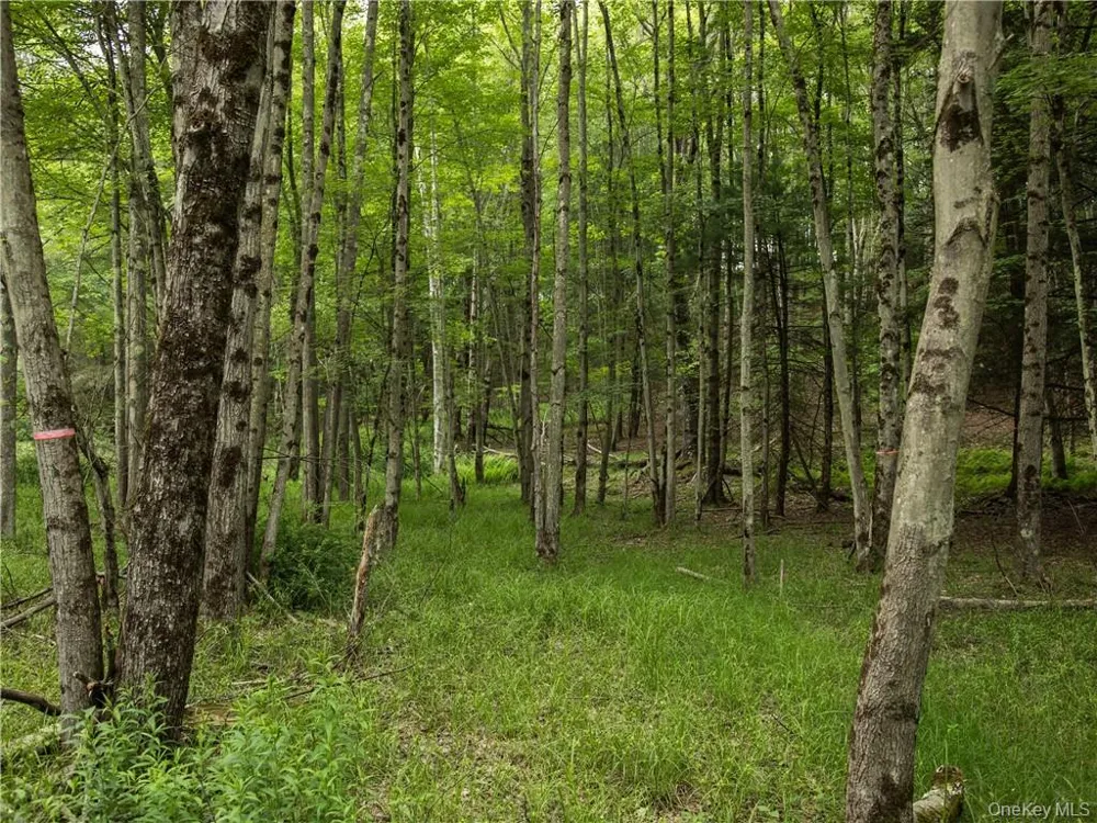 Lot 4 Chapin Trail Bethel, NY 12720