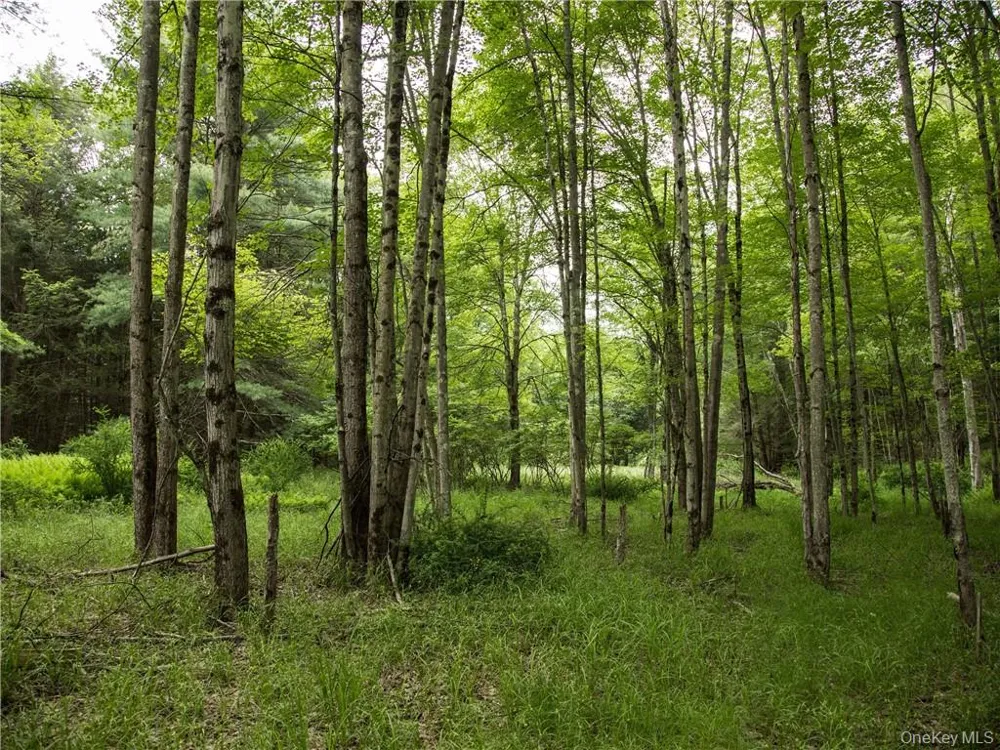 Lot 4 Chapin Trail Bethel, NY 12720