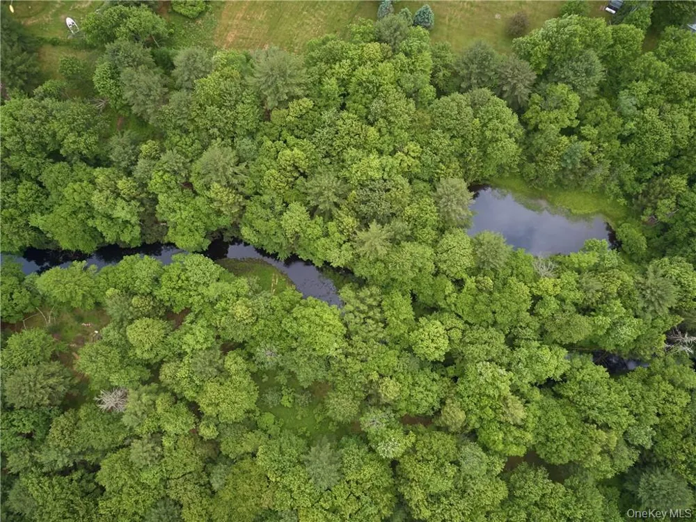 Lot 4 Chapin Trail Bethel, NY 12720