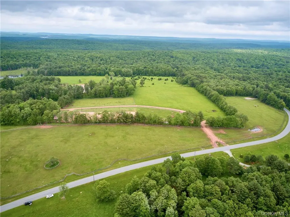 Lot 4 Chapin Trail Bethel, NY 12720