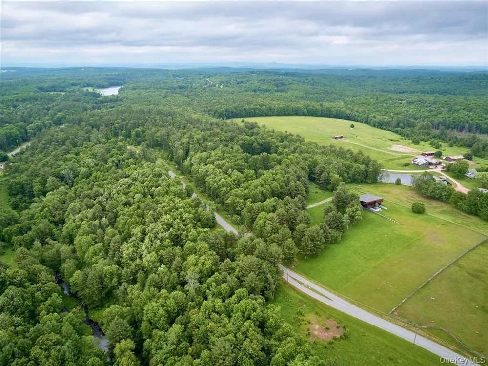 Lot 4 Chapin Trail Bethel, NY 12720