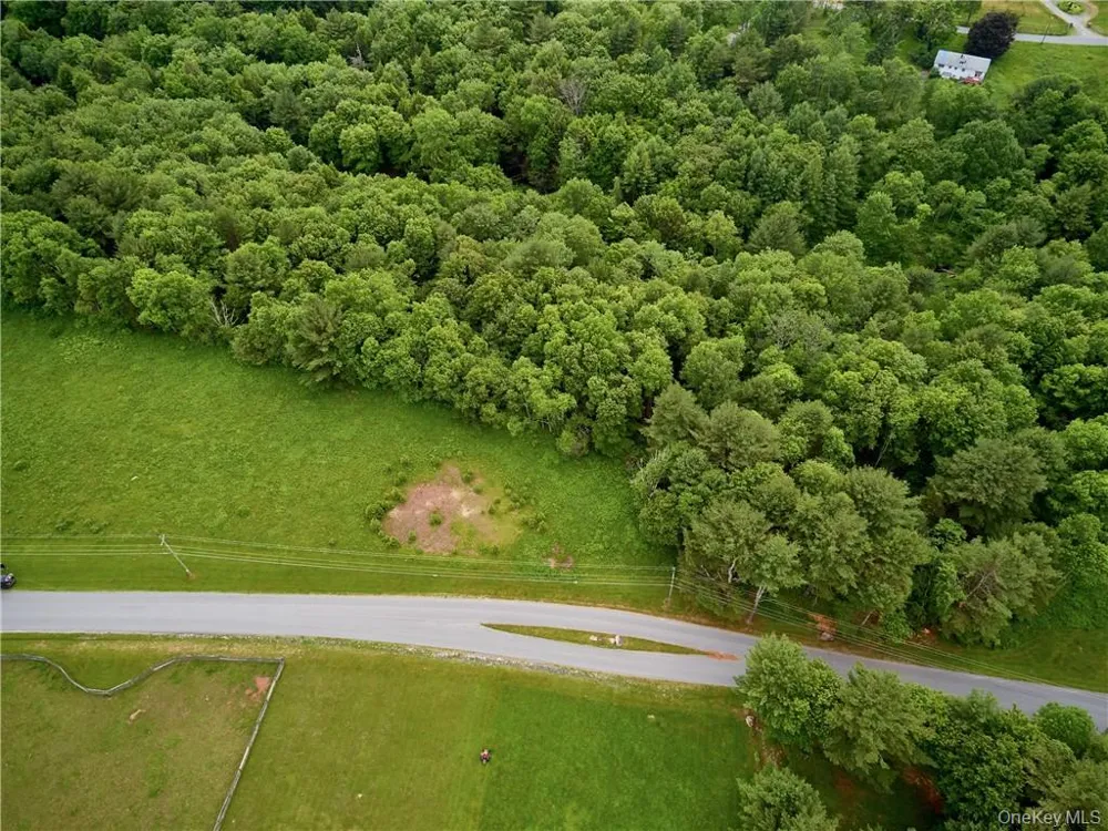 Lot 4 Chapin Trail Bethel, NY 12720