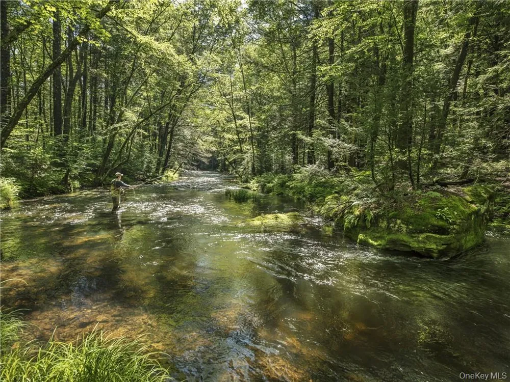 Lot 4 Chapin Trail Bethel, NY 12720