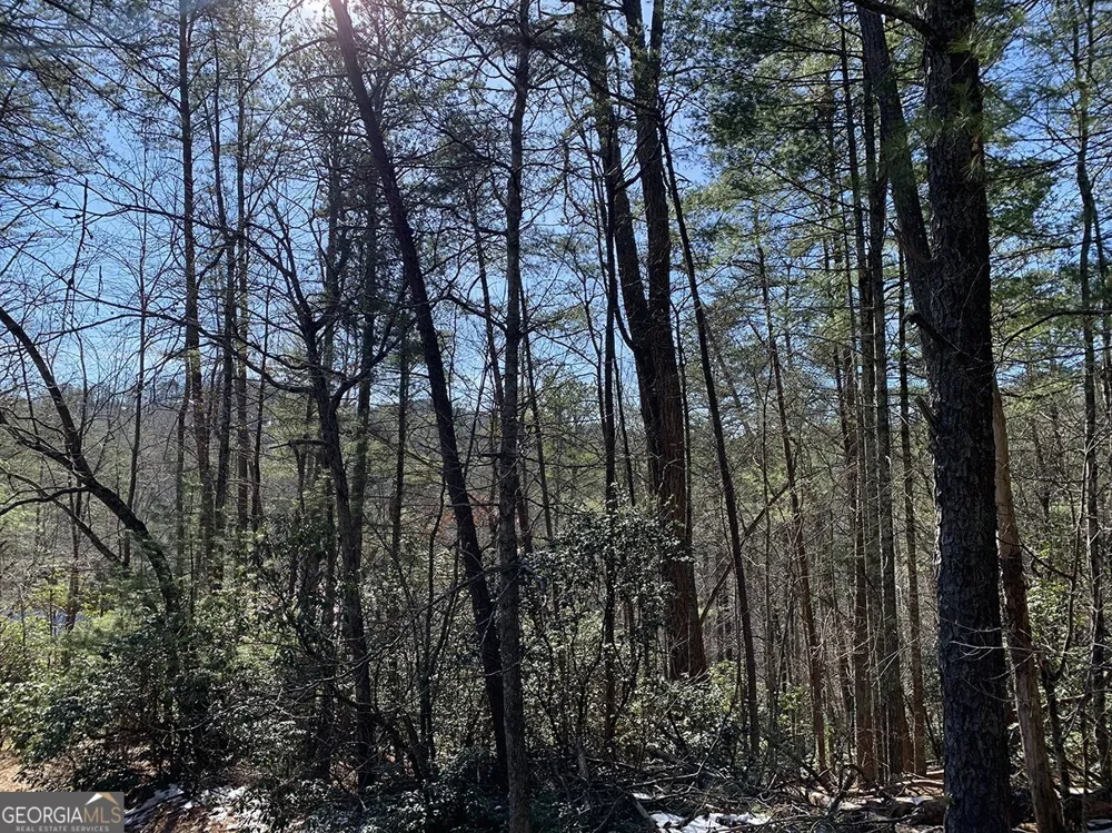 0 Pinecrest RD Sautee Nacoochee, GA 30571