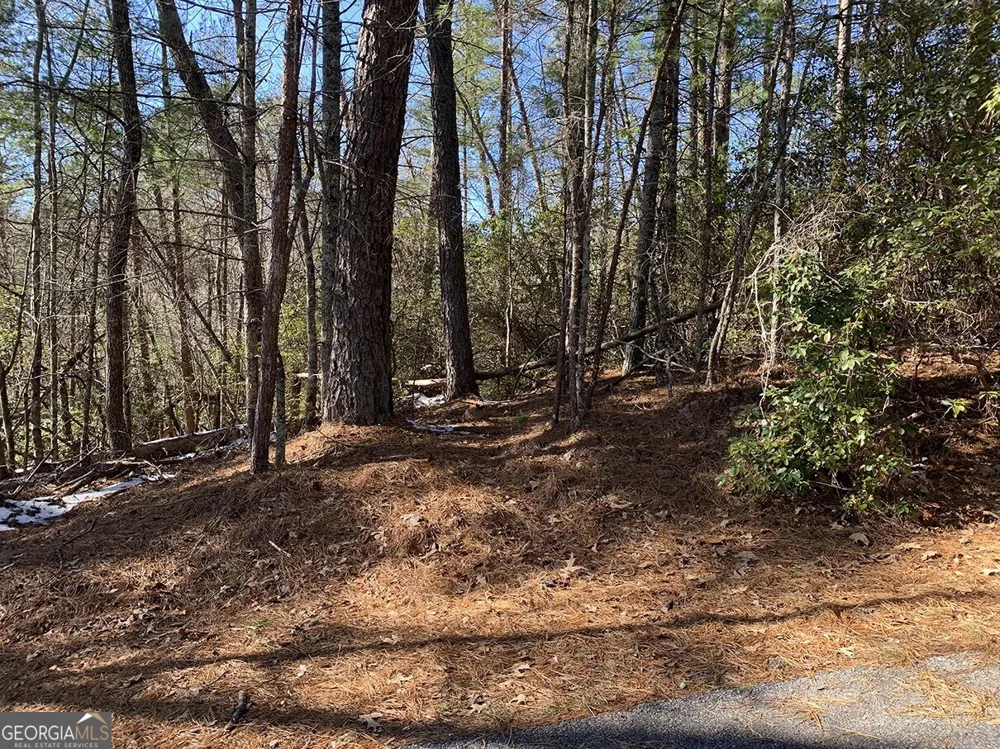 0 Pinecrest RD Sautee Nacoochee, GA 30571