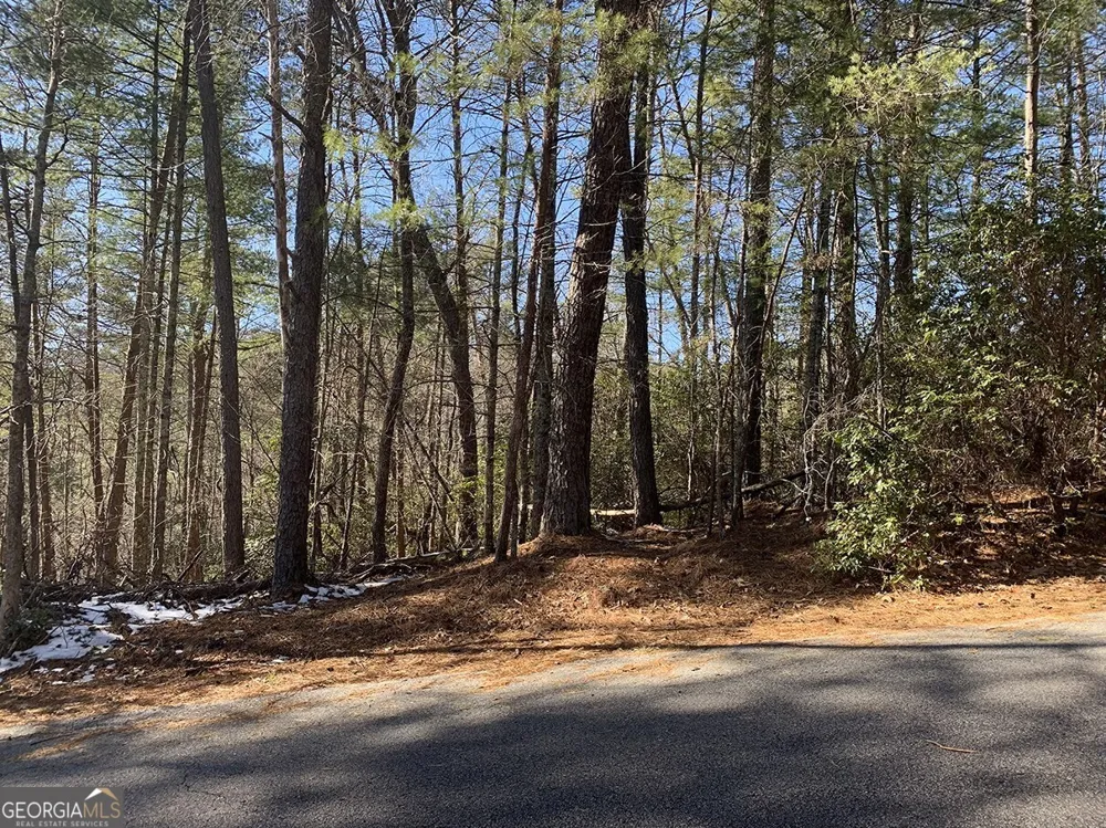 0 Pinecrest RD Sautee Nacoochee, GA 30571