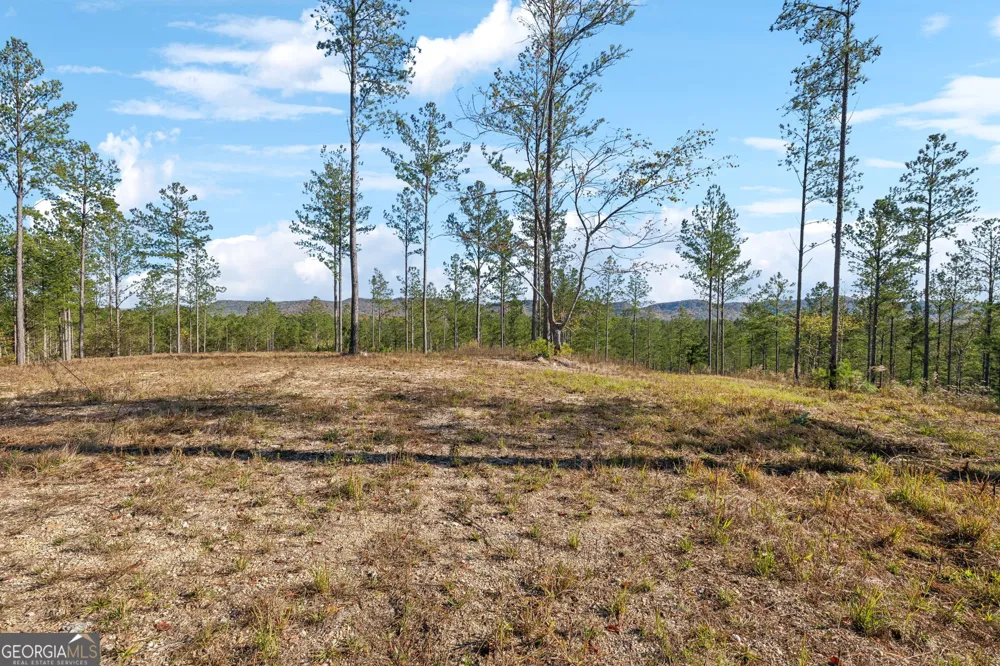 0 County Road 62 Gaylesville, AL 37087