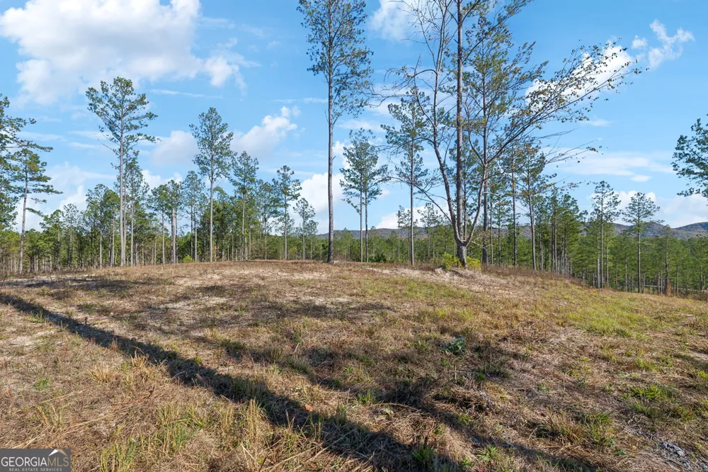 0 County Road 62 Gaylesville, AL 37087