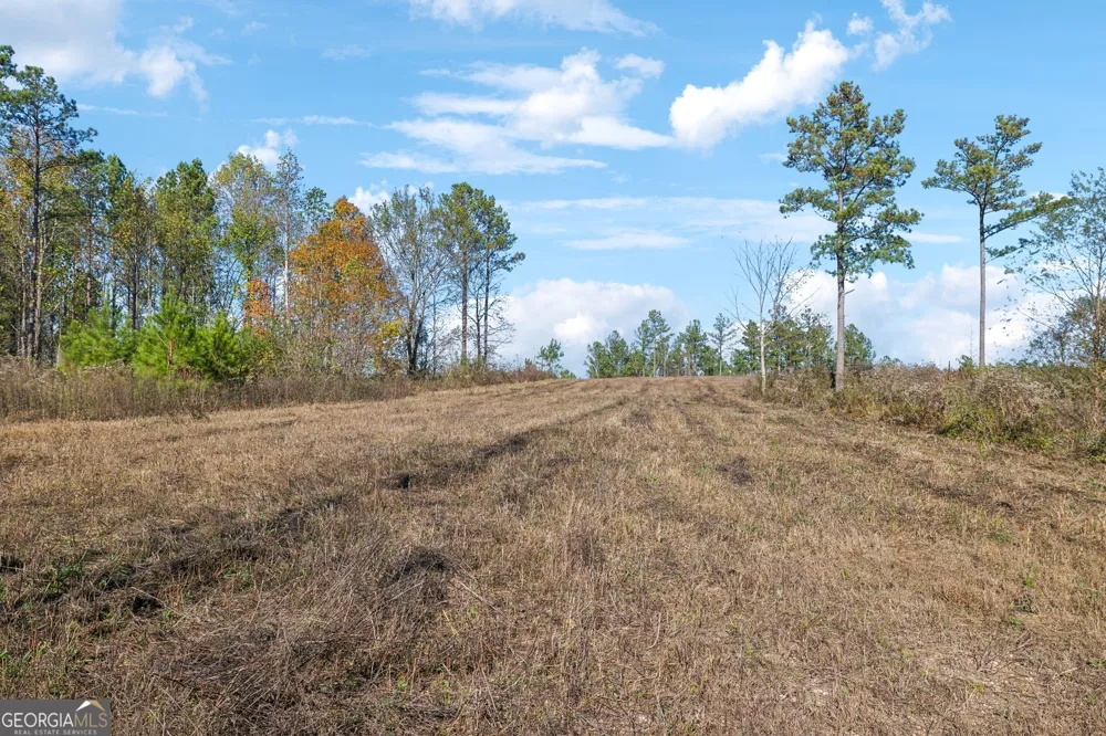 0 County Road 62 Gaylesville, AL 37087