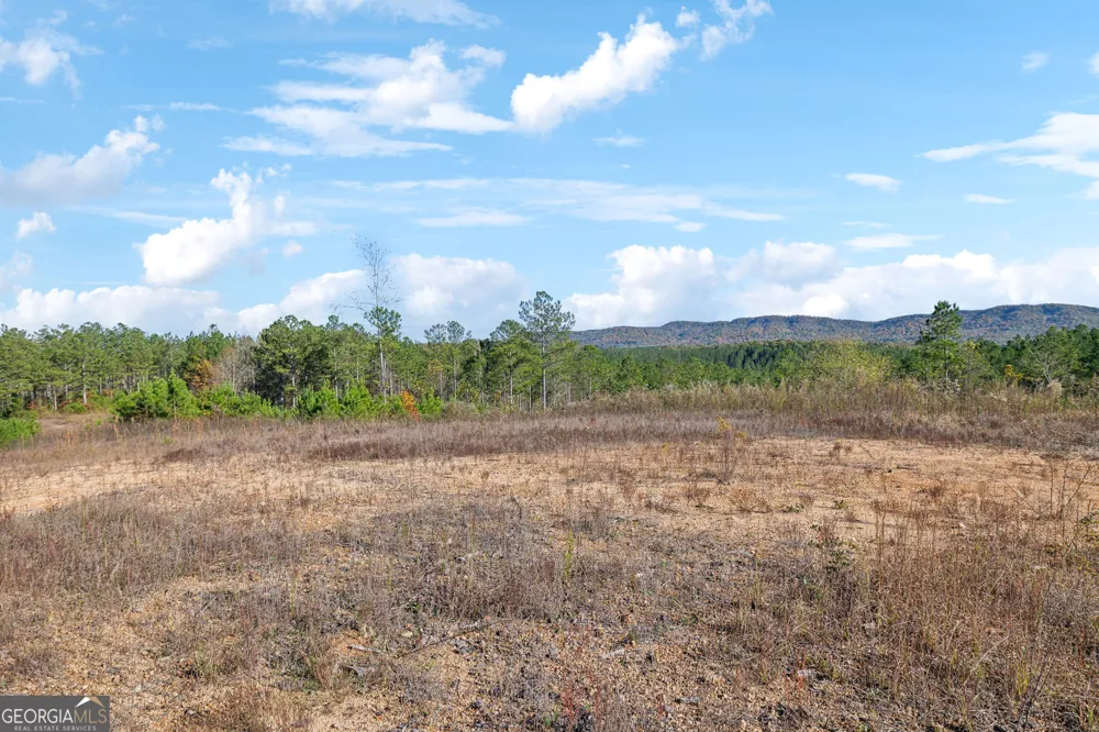 0 County Road 62 Gaylesville, AL 37087
