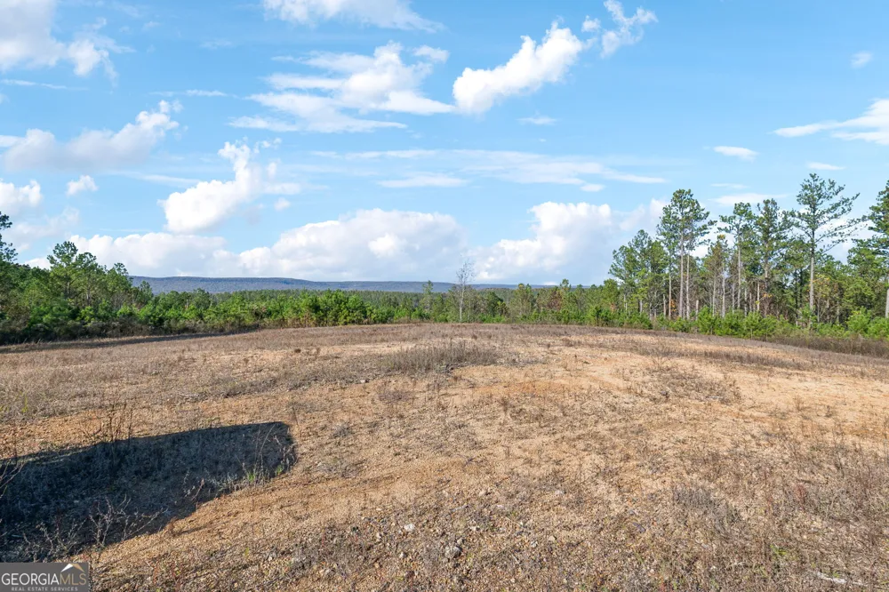 0 County Road 62 Gaylesville, AL 37087