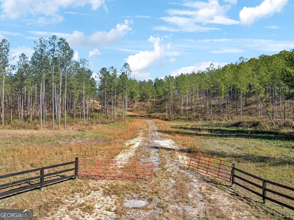 0 County Road 62 Gaylesville, AL 37087