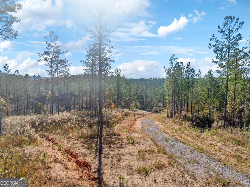 0 County Road 62 Gaylesville, AL 37087