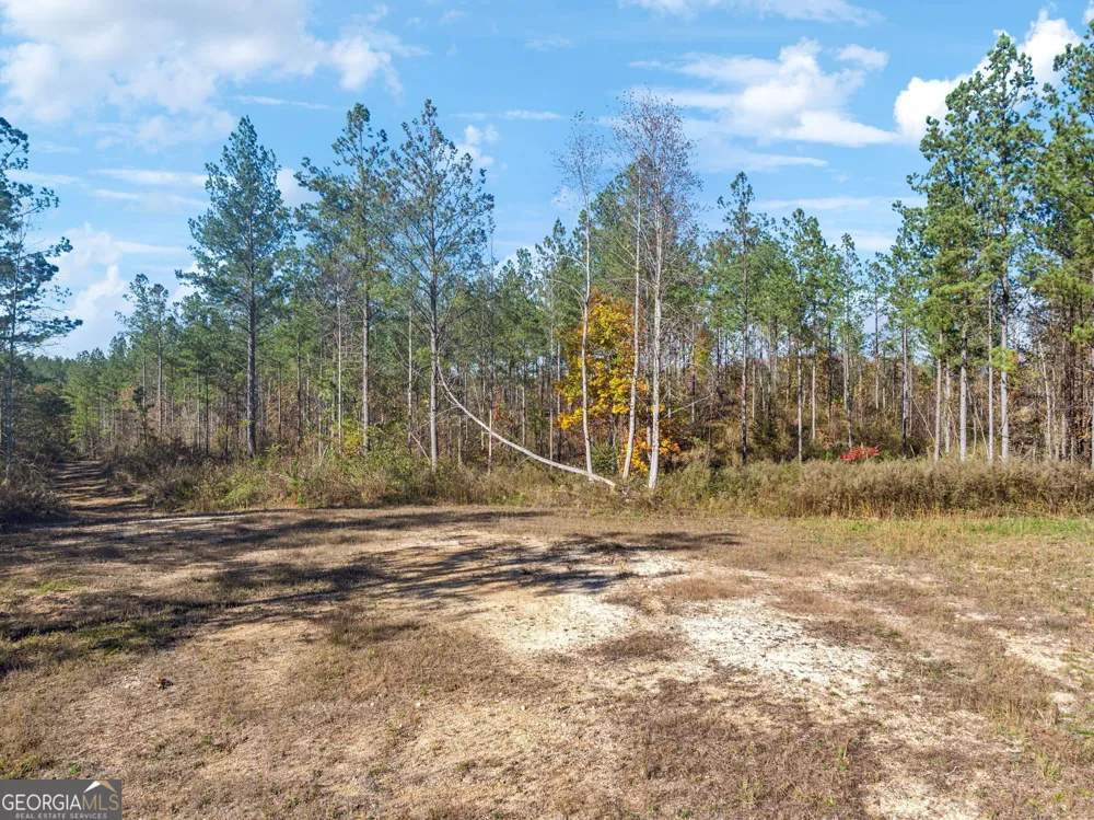 0 County Road 62 Gaylesville, AL 37087