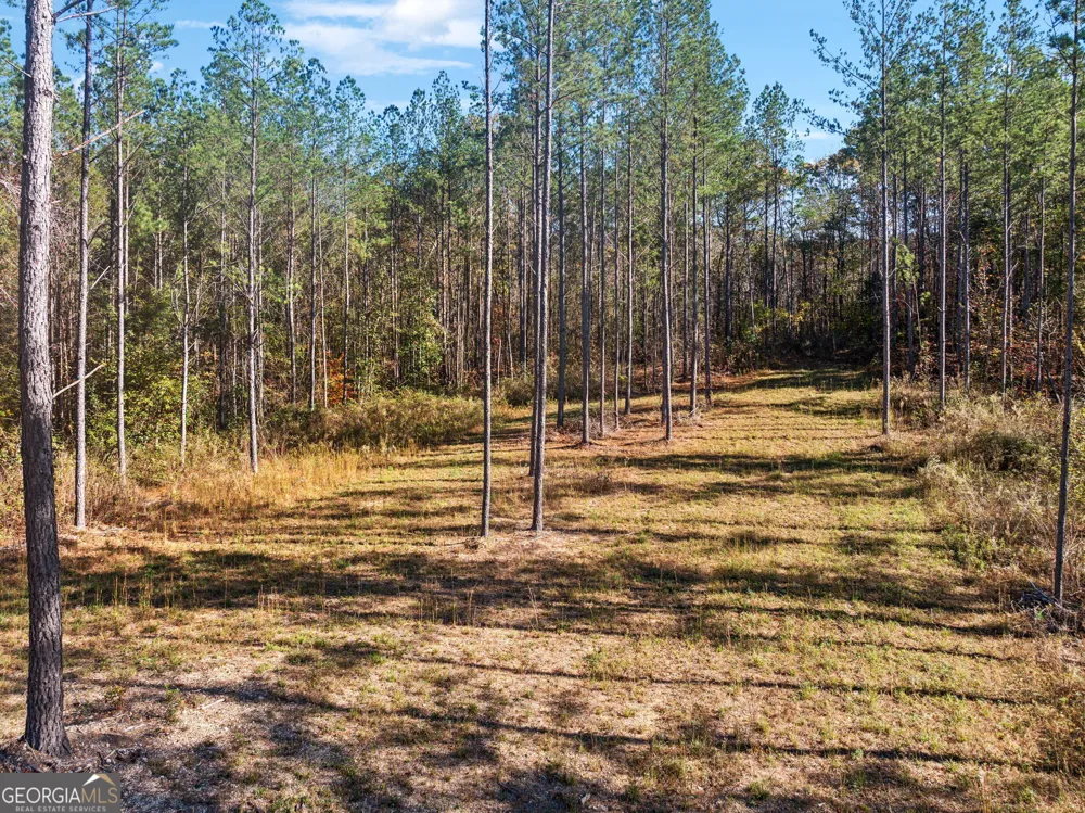 0 County Road 62 Gaylesville, AL 37087