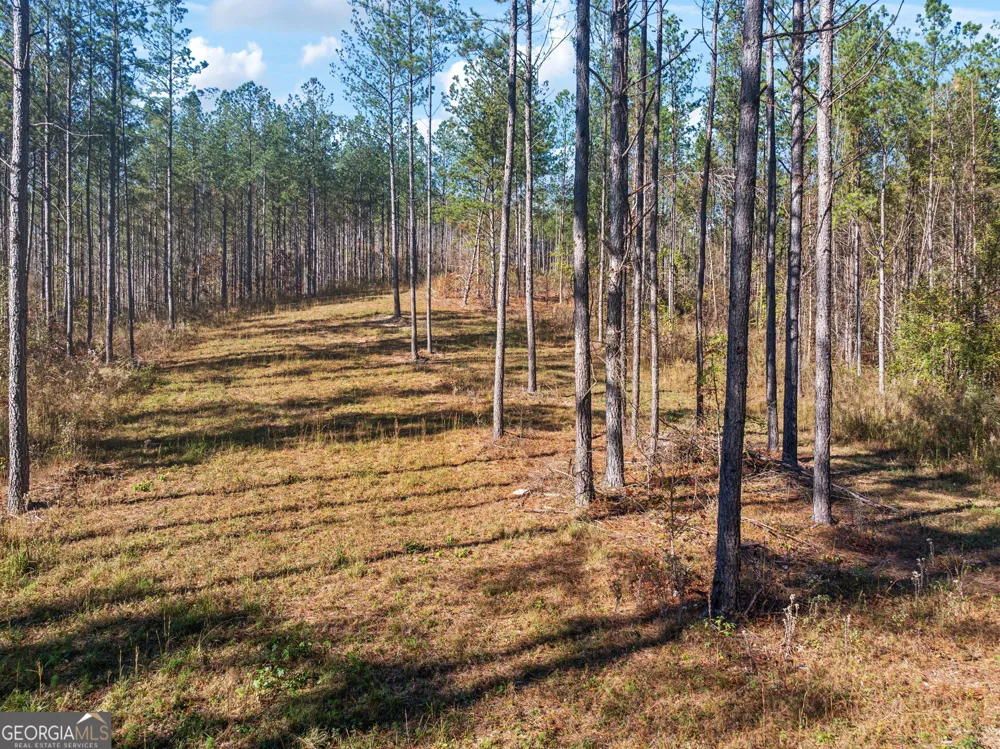 0 County Road 62 Gaylesville, AL 37087