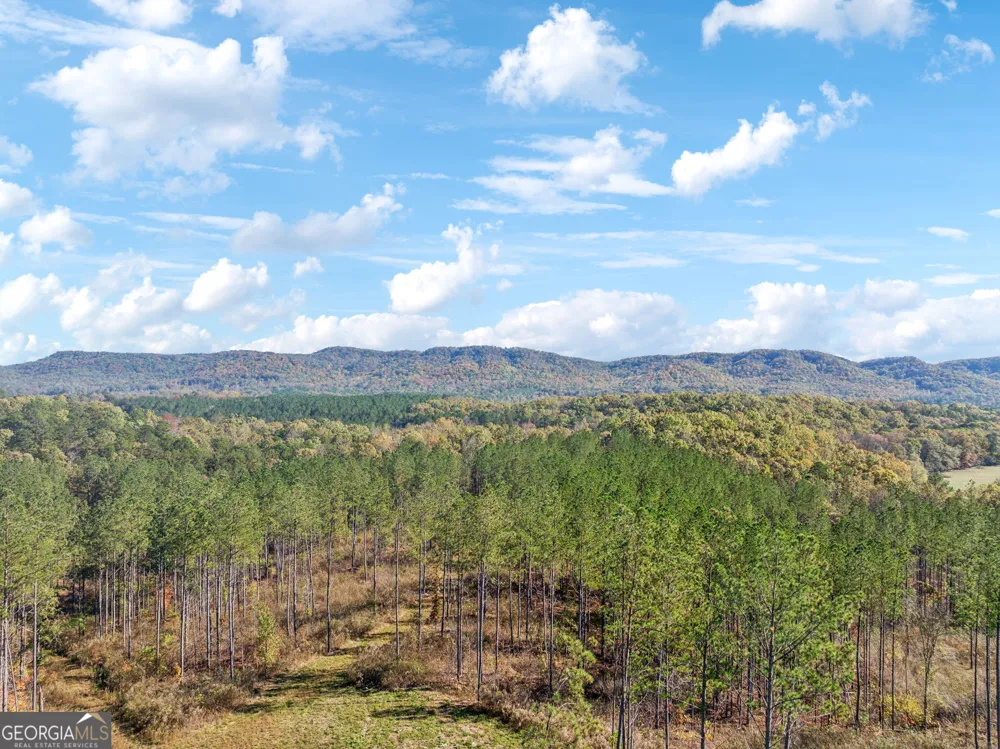 0 County Road 62 Gaylesville, AL 37087
