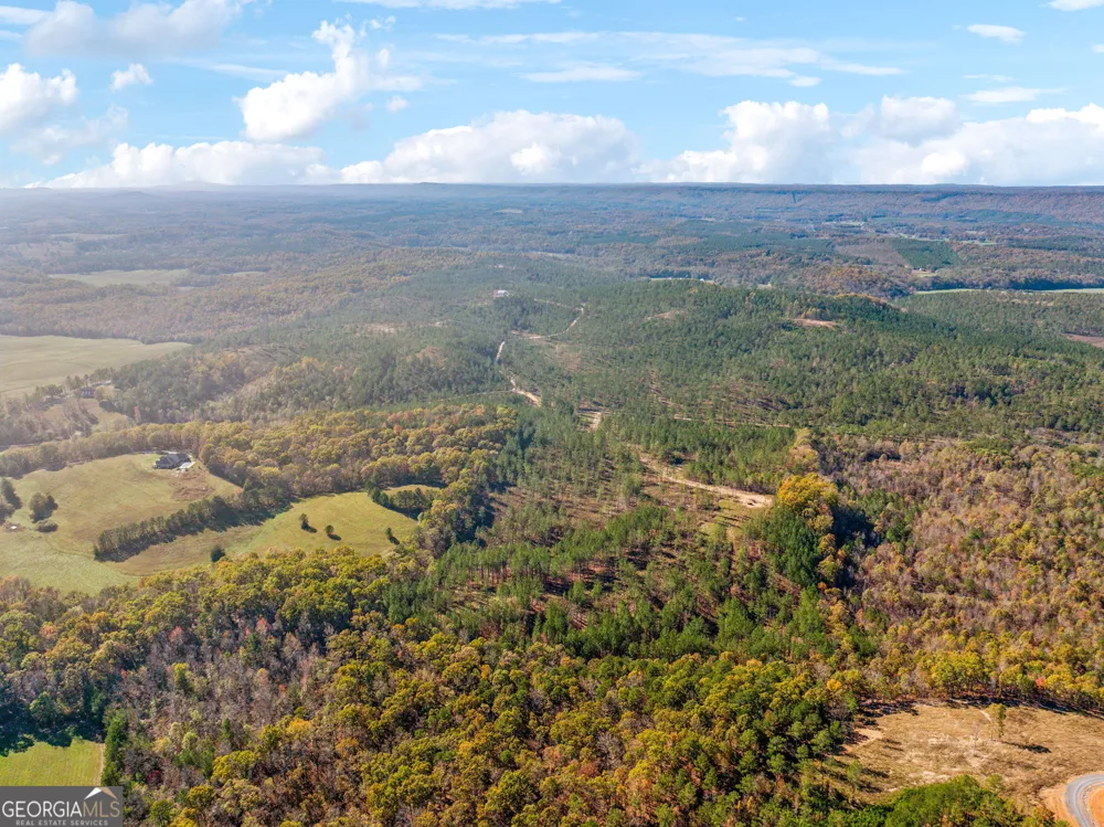 0 County Road 62 Gaylesville, AL 37087